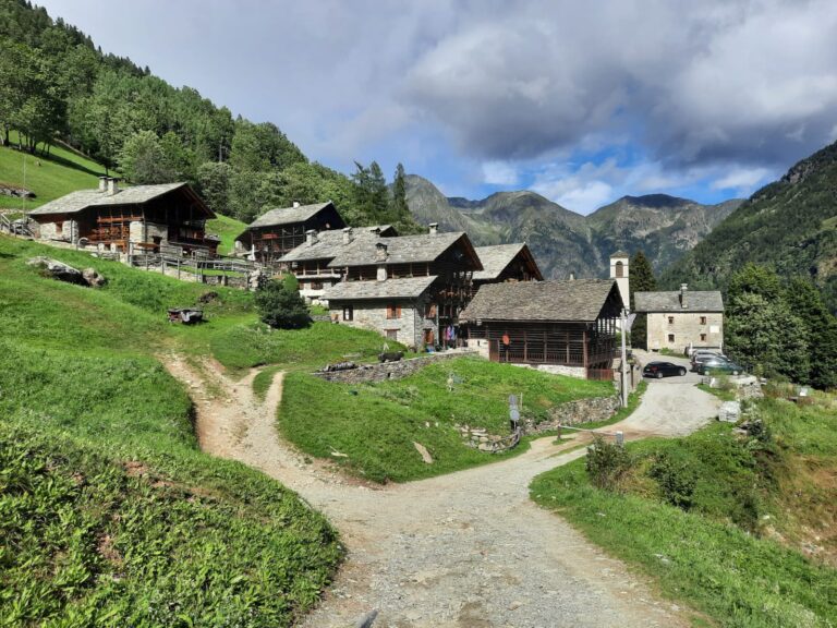 photo 2025 05 26 08 54 50