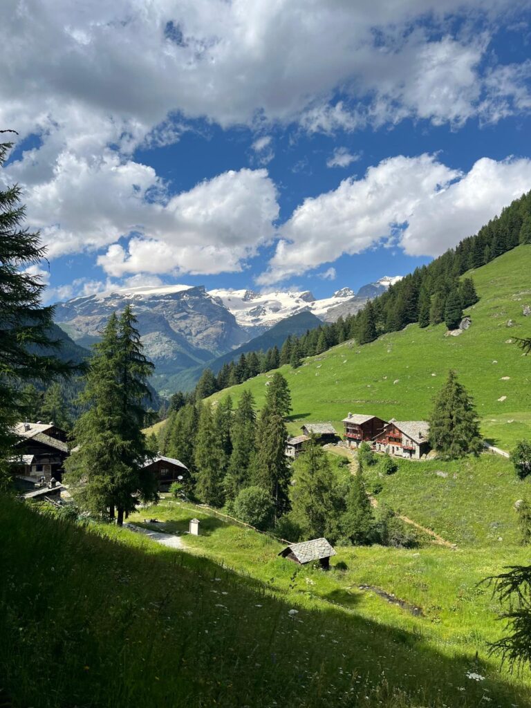 photo 2025 05 26 08 55 09(1)