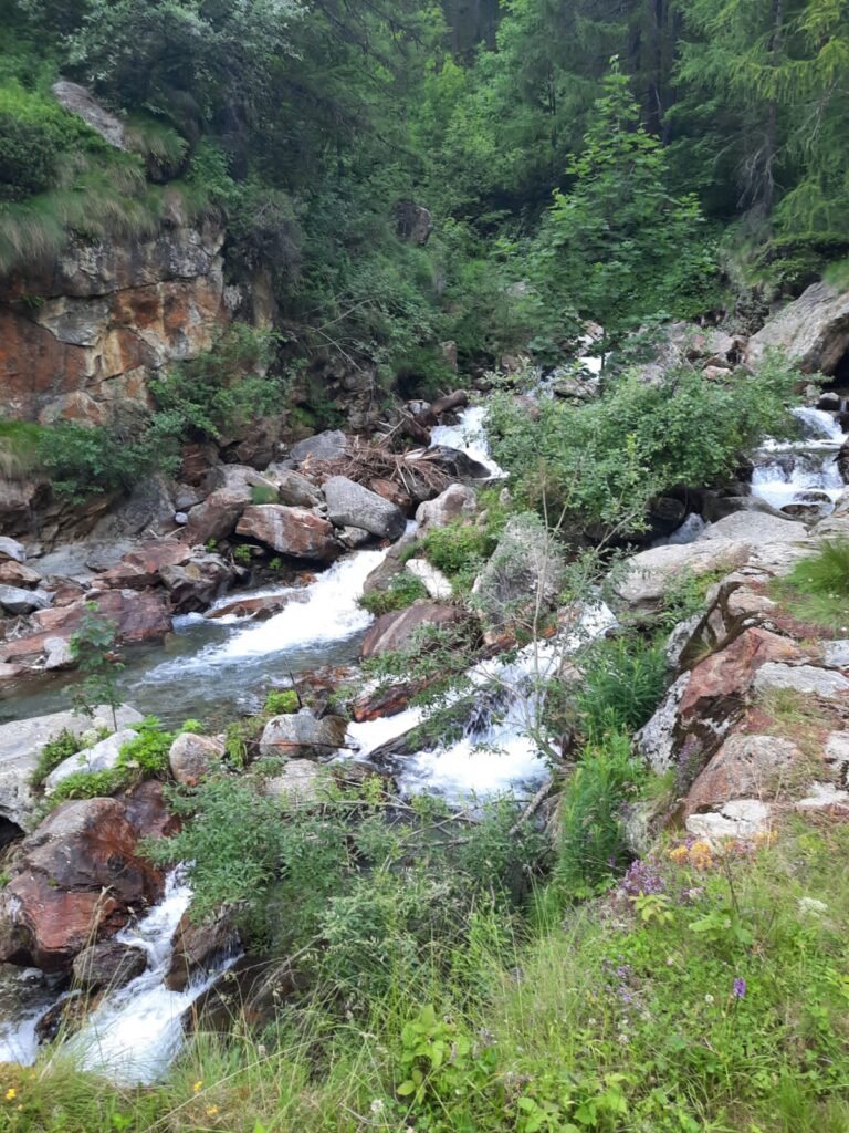 photo 2025 05 26 08 55 10(1)