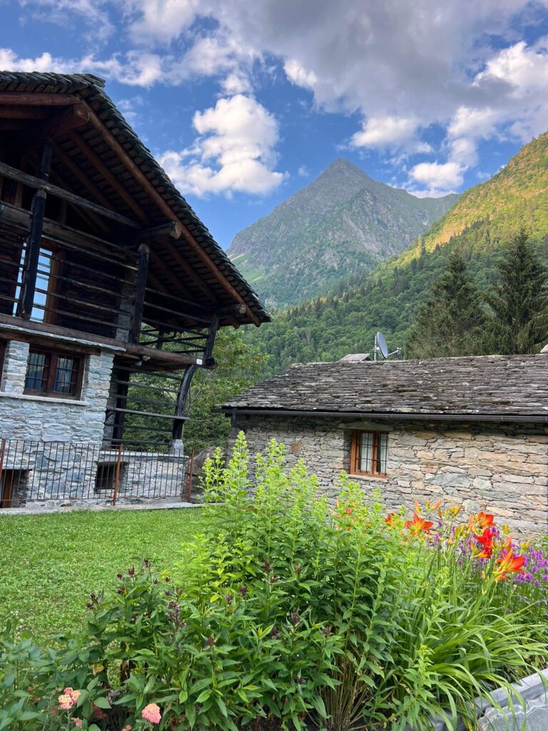 photo 2025 05 26 08 55 11