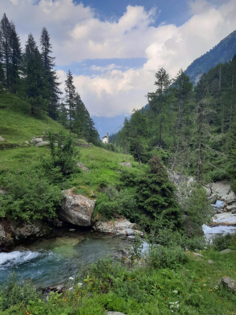 photo 2025 05 26 08 55 11(2)