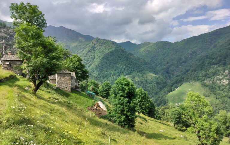 photo 2025 05 26 08 55 12(2)