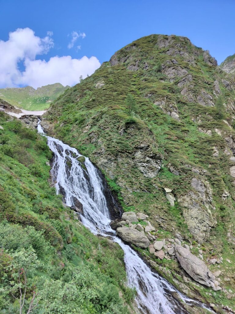 photo 2025 05 26 08 55 13(2)